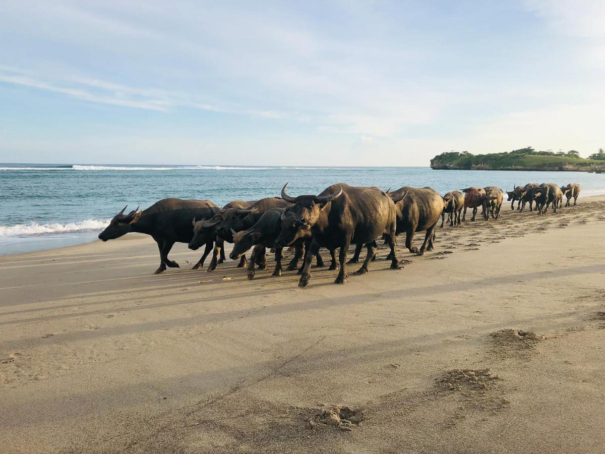Sumba Beach House ワイカブバック エクステリア 写真